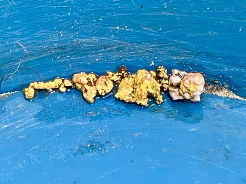 Gold Nuggets for sale